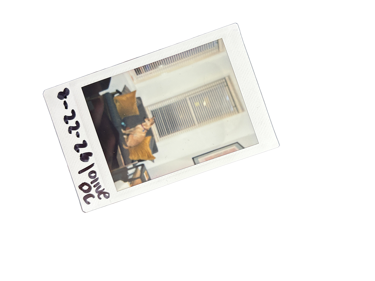 A handwritten instant photograph of Olive in Washington, D.C.